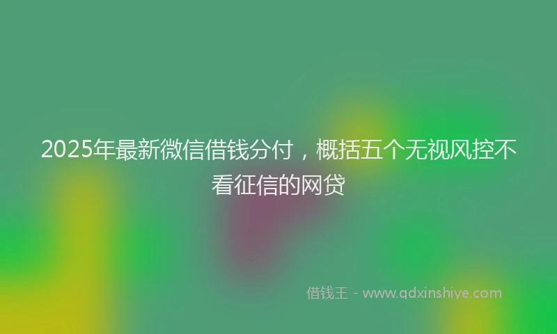 2025年最新微信借钱分付，概括五个无视风控不看征信的网贷
