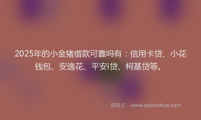 2025年的小金猪借款可靠吗有：信用卡贷、小花钱包、安逸花、平安i贷、柯基贷等。