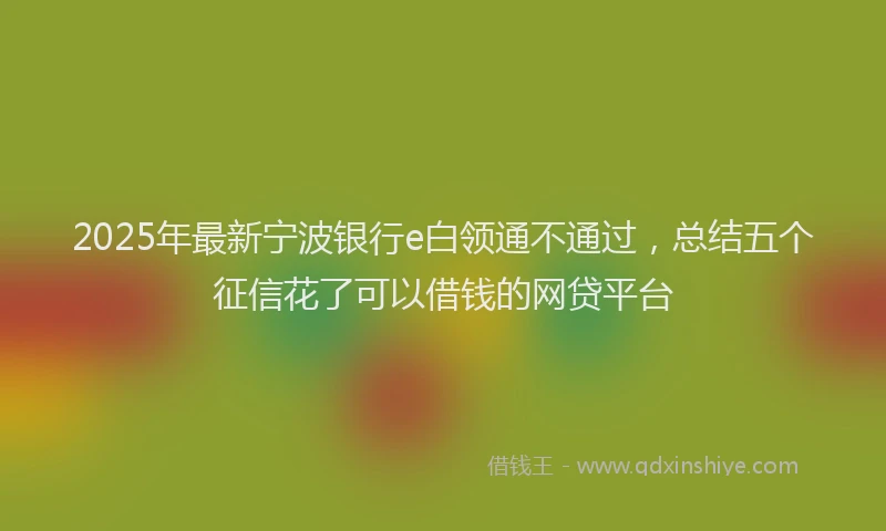 2025年最新宁波银行e白领通不通过，总结五个征信花了可以借钱的网贷平台