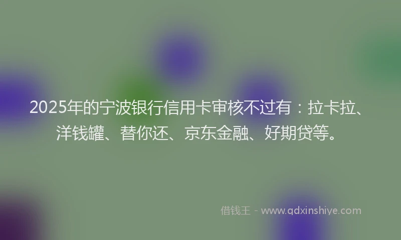 2025年的宁波银行信用卡审核不过有：拉卡拉、洋钱罐、替你还、京东金融、好期贷等。