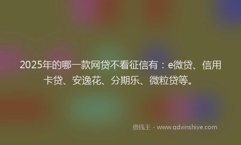 2025年的哪一款网贷不看征信有：e微贷、信用卡贷、安逸花、分期乐、微粒贷等。