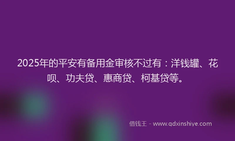2025年的平安有备用金审核不过有：洋钱罐、花呗、功夫贷、惠商贷、柯基贷等。