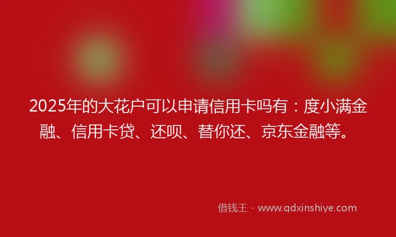 2025年的大花户可以申请信用卡吗有：度小满金融、信用卡贷、还呗、替你还、京东金融等。