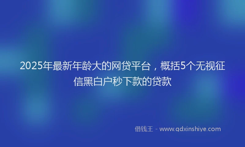 2025年最新年龄大的网贷平台，概括5个无视征信黑白户秒下款的贷款