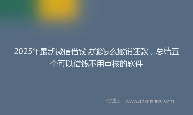 2025年最新微信借钱功能怎么撤销还款，总结五个可以借钱不用审核的软件