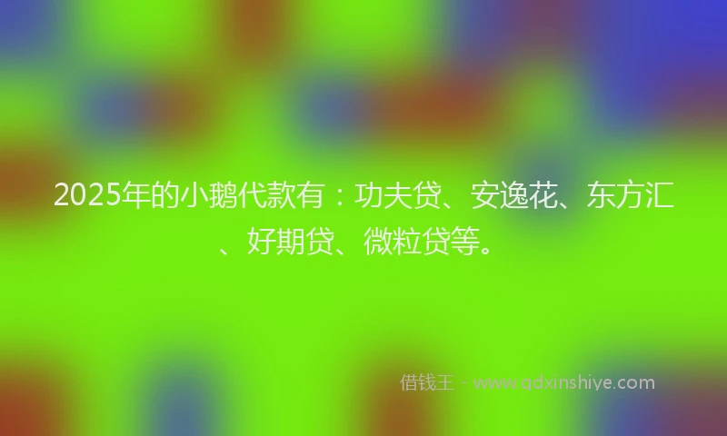 2025年的小鹅代款有：功夫贷、安逸花、东方汇、好期贷、微粒贷等。