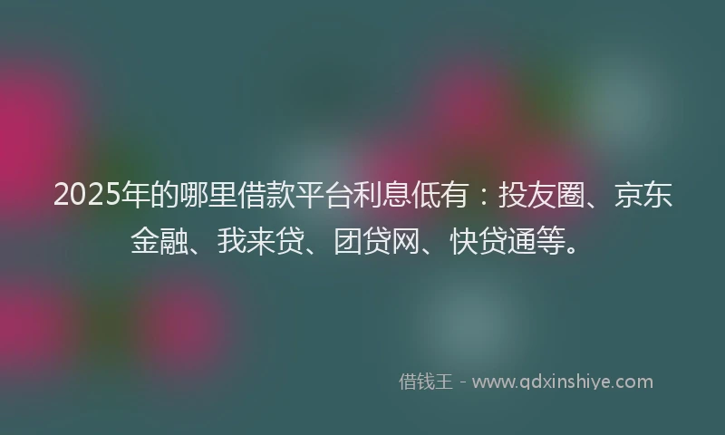 2025年的哪里借款平台利息低有：投友圈、京东金融、我来贷、团贷网、快贷通等。