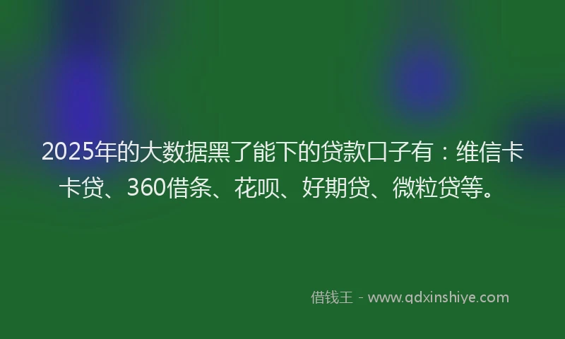 2025年的大数据黑了能下的贷款口子有：维信卡卡贷、360借条、花呗、好期贷、微粒贷等。