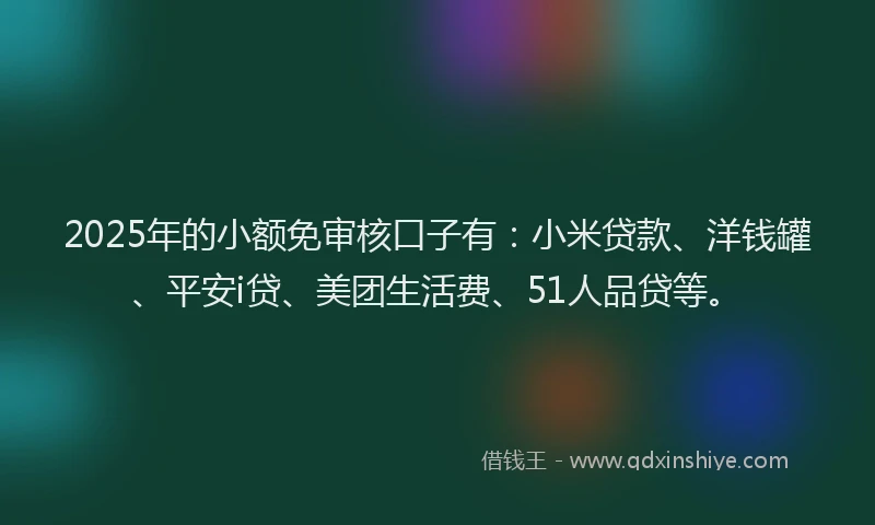 2025年的小额免审核口子有：小米贷款、洋钱罐、平安i贷、美团生活费、51人品贷等。