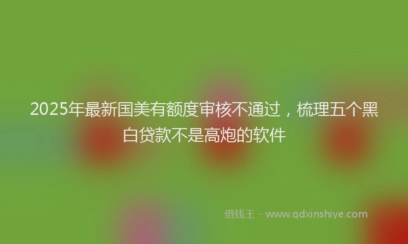 2025年最新国美有额度审核不通过，梳理五个黑白贷款不是高炮的软件