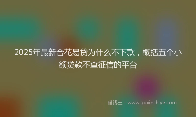 2025年最新合花易贷为什么不下款，概括五个小额贷款不查征信的平台