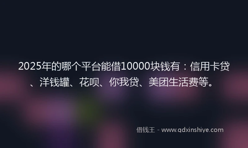 2025年的哪个平台能借10000块钱有：信用卡贷、洋钱罐、花呗、你我贷、美团生活费等。