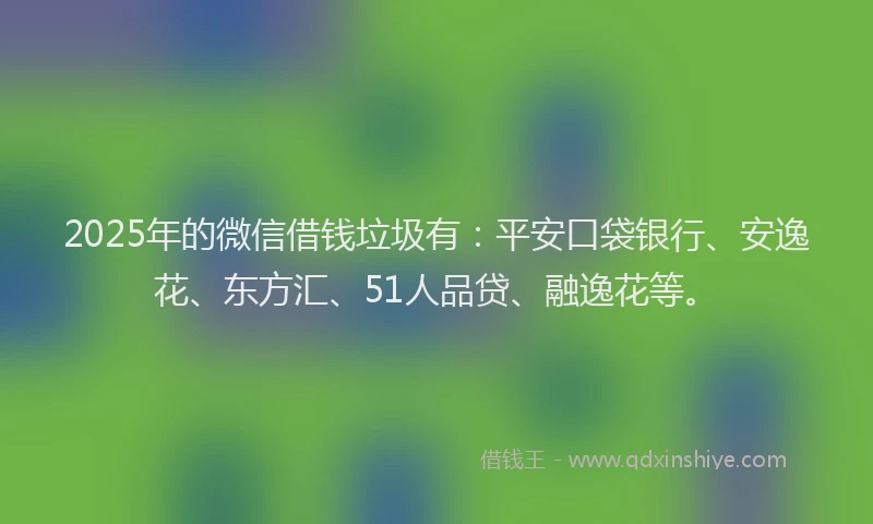 2025年的微信借钱垃圾有：平安口袋银行、安逸花、东方汇、51人品贷、融逸花等。