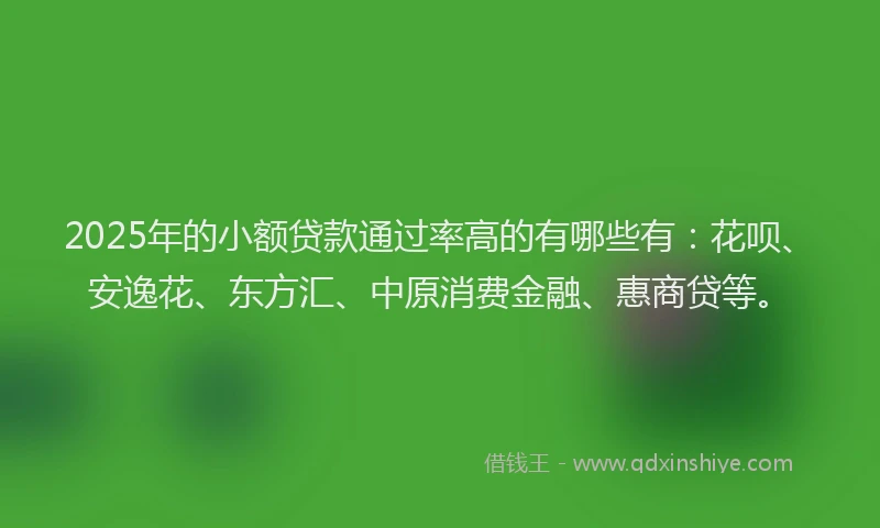 2025年的小额贷款通过率高的有哪些有：花呗、安逸花、东方汇、中原消费金融、惠商贷等。