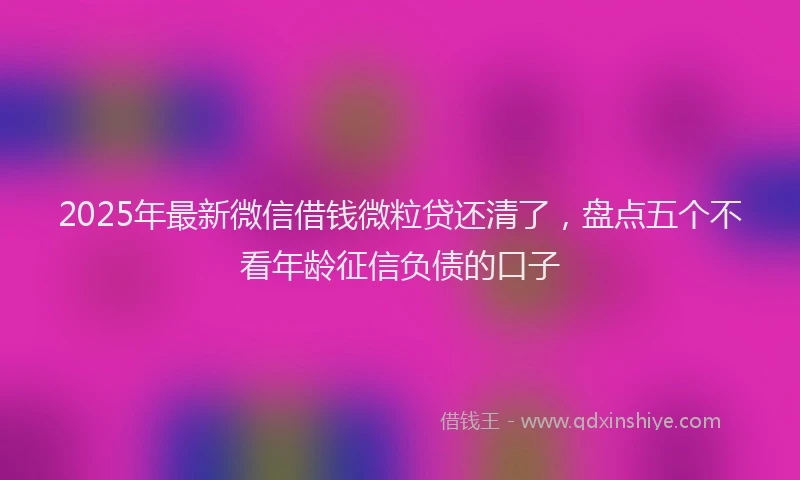 2025年最新微信借钱微粒贷还清了，盘点五个不看年龄征信负债的口子
