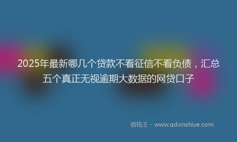 2025年最新哪几个贷款不看征信不看负债，汇总五个真正无视逾期大数据的网贷口子