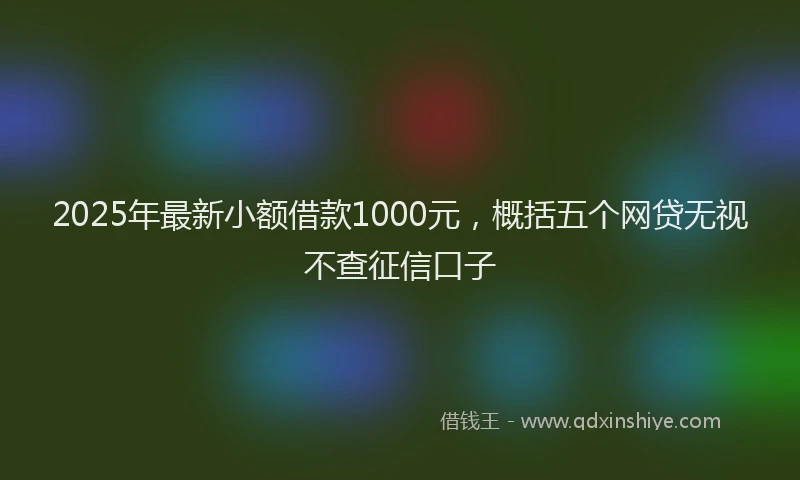 2025年最新小额借款1000元，概括五个网贷无视不查征信口子
