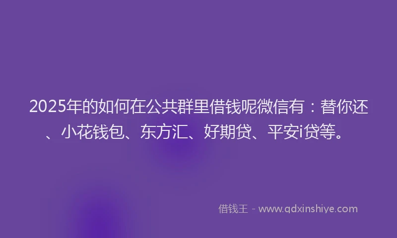 2025年的如何在公共群里借钱呢微信有：替你还、小花钱包、东方汇、好期贷、平安i贷等。