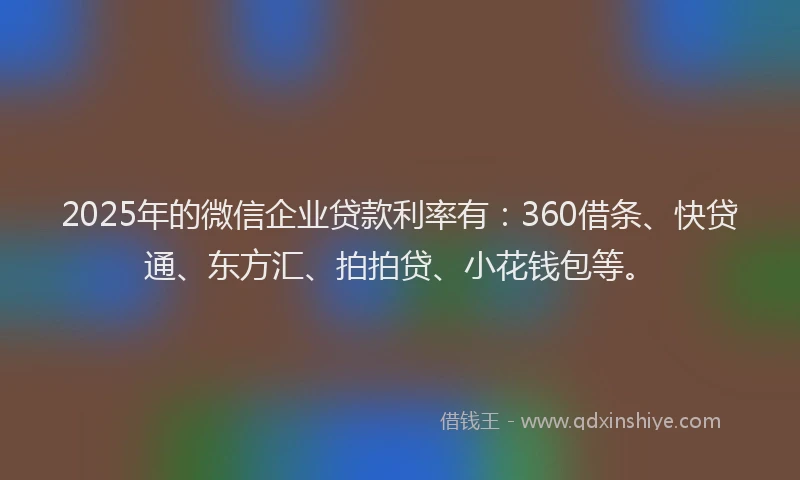 2025年的微信企业贷款利率有：360借条、快贷通、东方汇、拍拍贷、小花钱包等。