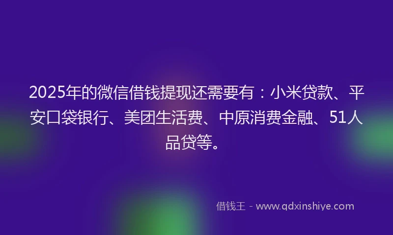 2025年的微信借钱提现还需要有：小米贷款、平安口袋银行、美团生活费、中原消费金融、51人品贷等。