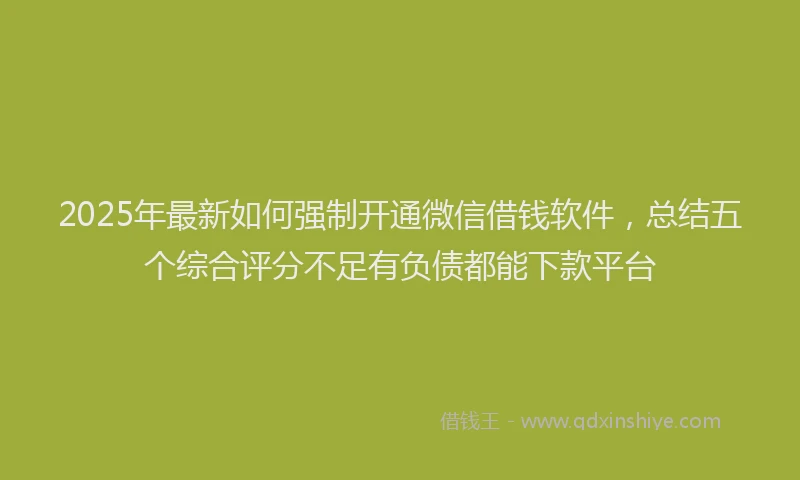 2025年最新如何强制开通微信借钱软件，总结五个综合评分不足有负债都能下款平台