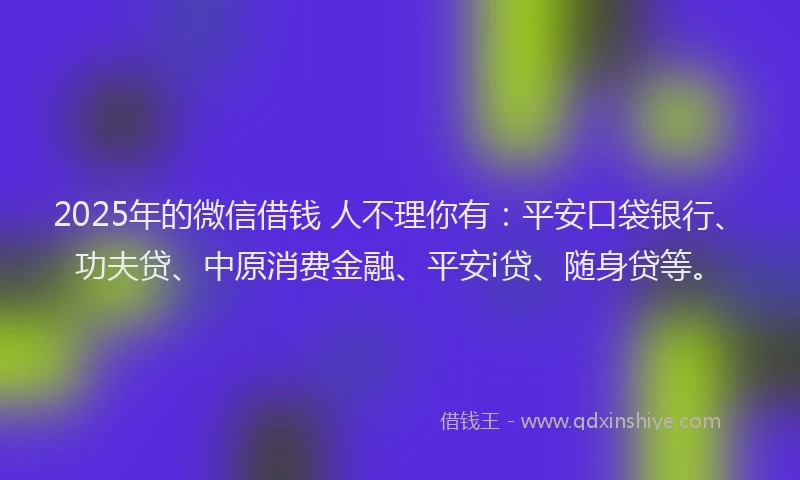 2025年的微信借钱 人不理你有：平安口袋银行、功夫贷、中原消费金融、平安i贷、随身贷等。