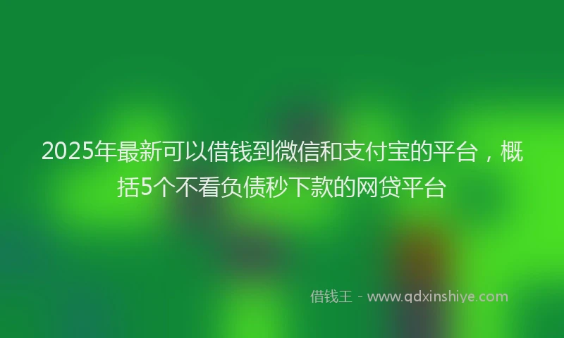2025年最新可以借钱到微信和支付宝的平台，概括5个不看负债秒下款的网贷平台
