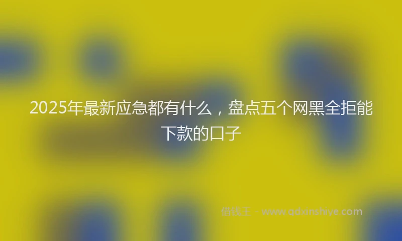 2025年最新应急都有什么，盘点五个网黑全拒能下款的口子