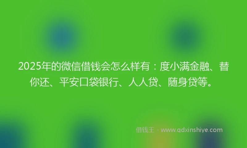 2025年的微信借钱会怎么样有：度小满金融、替你还、平安口袋银行、人人贷、随身贷等。