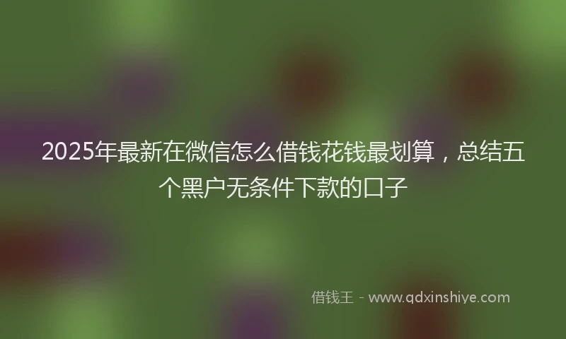 2025年最新在微信怎么借钱花钱最划算，总结五个黑户无条件下款的口子