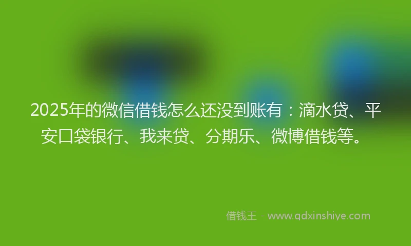 2025年的微信借钱怎么还没到账有：滴水贷、平安口袋银行、我来贷、分期乐、微博借钱等。