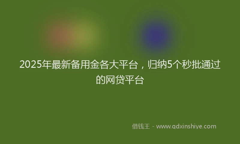 2025年最新备用金各大平台，归纳5个秒批通过的网贷平台