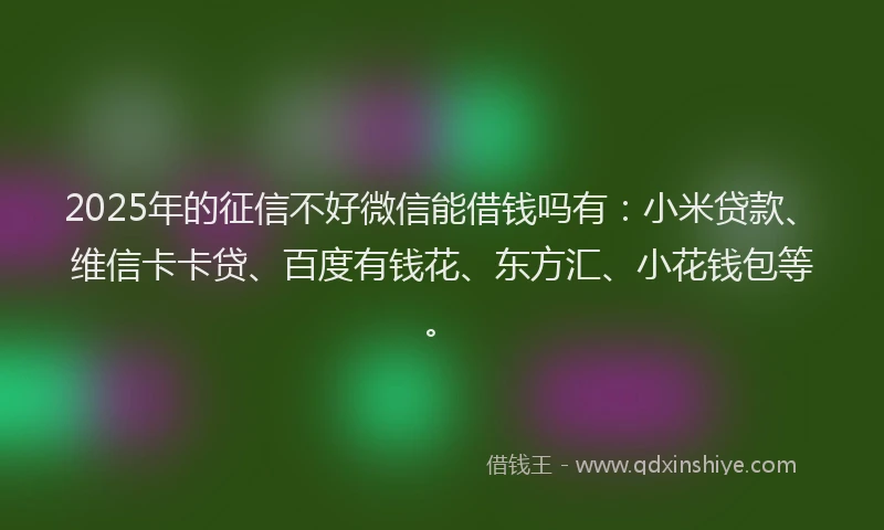 2025年的征信不好微信能借钱吗有：小米贷款、维信卡卡贷、百度有钱花、东方汇、小花钱包等。