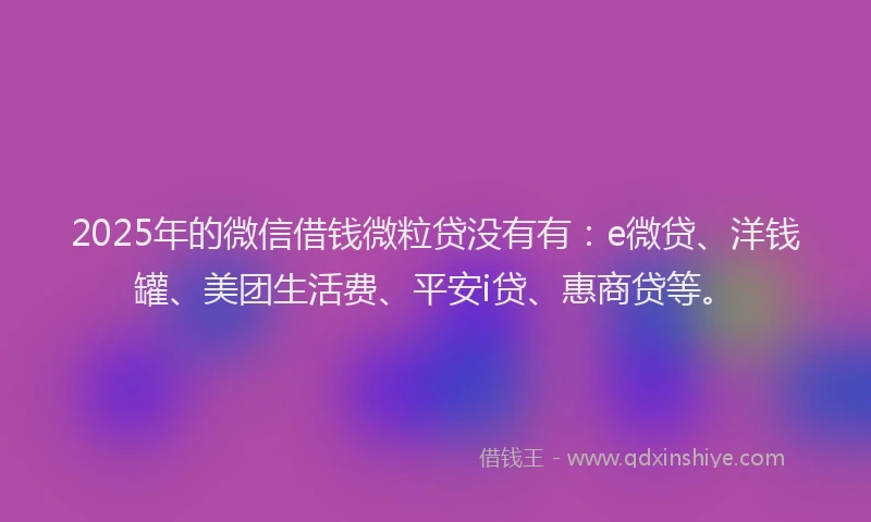 2025年的微信借钱微粒贷没有有：e微贷、洋钱罐、美团生活费、平安i贷、惠商贷等。