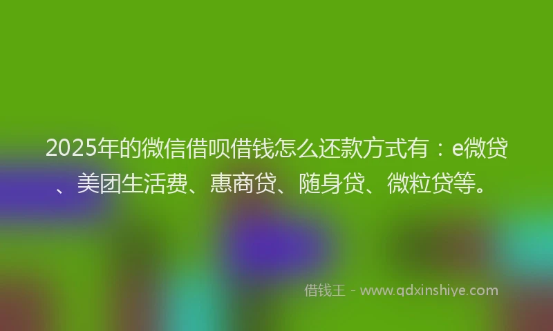 2025年的微信借呗借钱怎么还款方式有：e微贷、美团生活费、惠商贷、随身贷、微粒贷等。