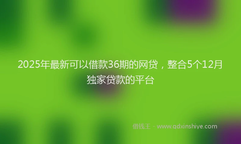 2025年最新可以借款36期的网贷，整合5个12月独家贷款的平台