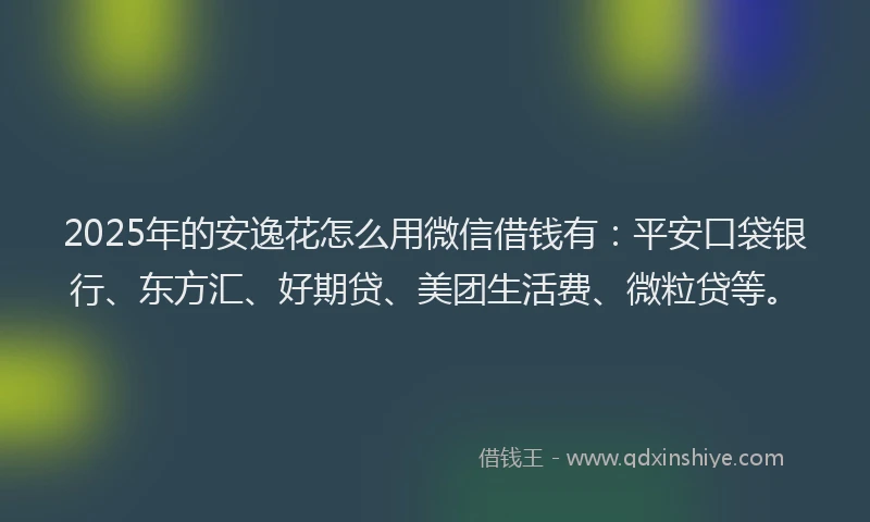2025年的安逸花怎么用微信借钱有：平安口袋银行、东方汇、好期贷、美团生活费、微粒贷等。