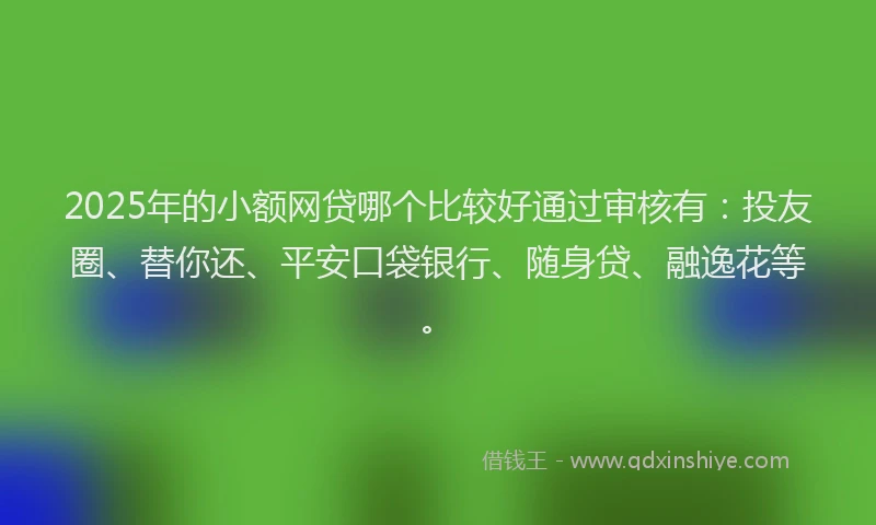 2025年的小额网贷哪个比较好通过审核有：投友圈、替你还、平安口袋银行、随身贷、融逸花等。