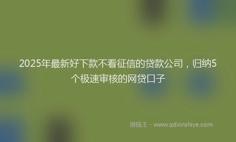 2025年最新好下款不看征信的贷款公司，归纳5个极速审核的网贷口子
