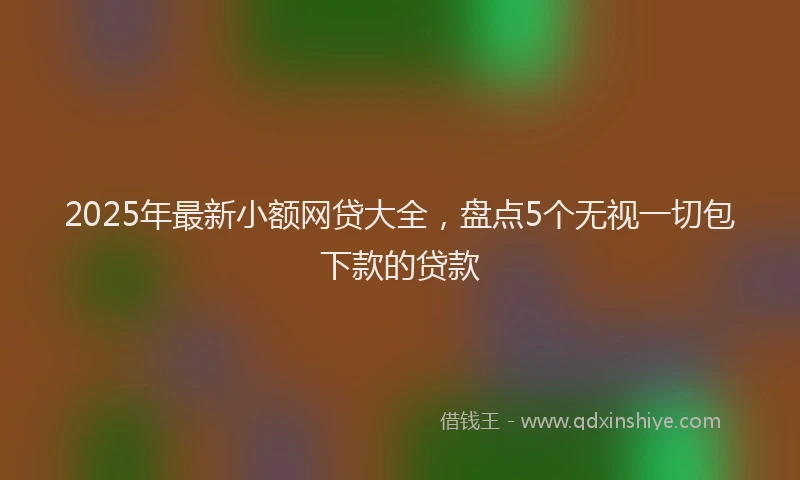 2025年最新小额网贷大全，盘点5个无视一切包下款的贷款