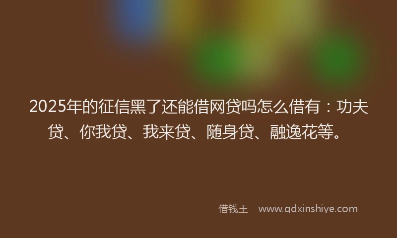 2025年的征信黑了还能借网贷吗怎么借有：功夫贷、你我贷、我来贷、随身贷、融逸花等。