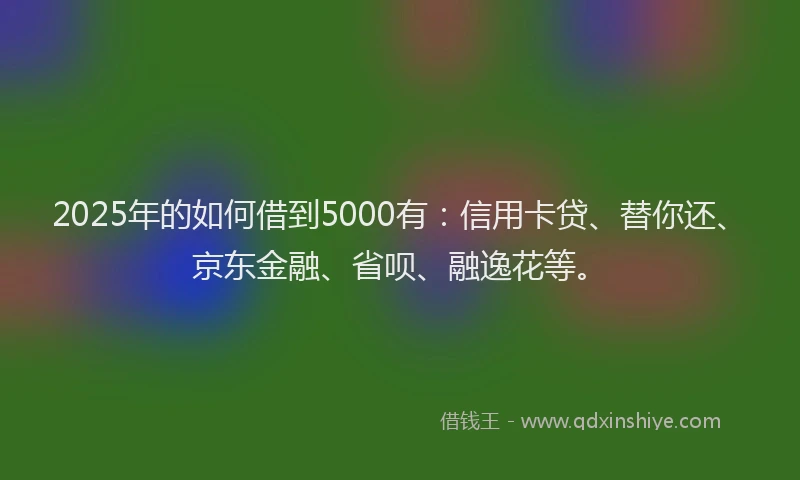 2025年的如何借到5000有：信用卡贷、替你还、京东金融、省呗、融逸花等。