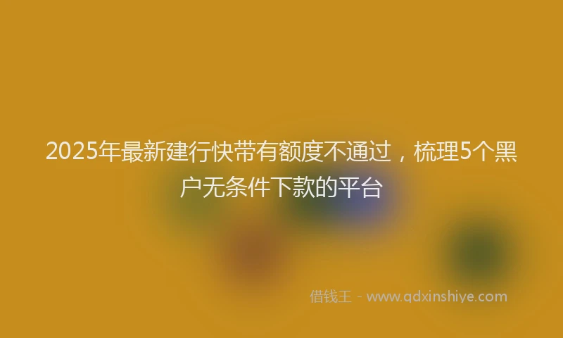 2025年最新建行快带有额度不通过，梳理5个黑户无条件下款的平台