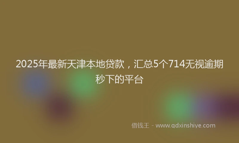 2025年最新天津本地贷款，汇总5个714无视逾期秒下的平台