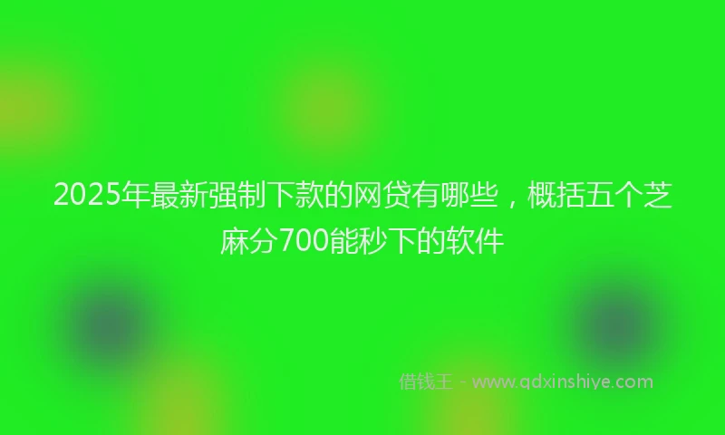 2025年最新强制下款的网贷有哪些，概括五个芝麻分700能秒下的软件