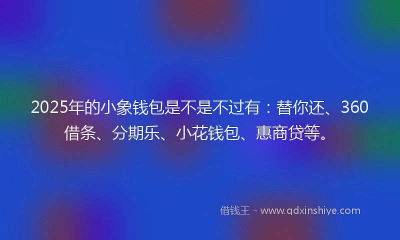 2025年的小象钱包是不是不过有：替你还、360借条、分期乐、小花钱包、惠商贷等。