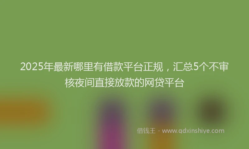 2025年最新哪里有借款平台正规，汇总5个不审核夜间直接放款的网贷平台