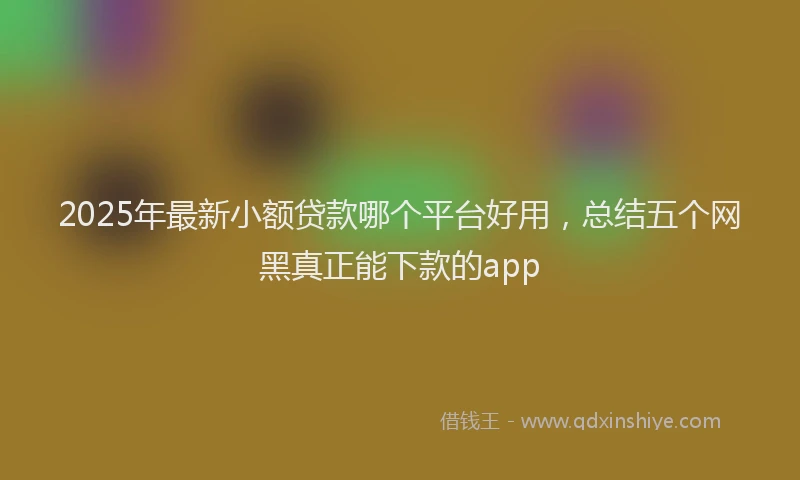 2025年最新小额贷款哪个平台好用，总结五个网黑真正能下款的app
