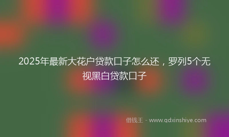 2025年最新大花户贷款口子怎么还，罗列5个无视黑白贷款口子