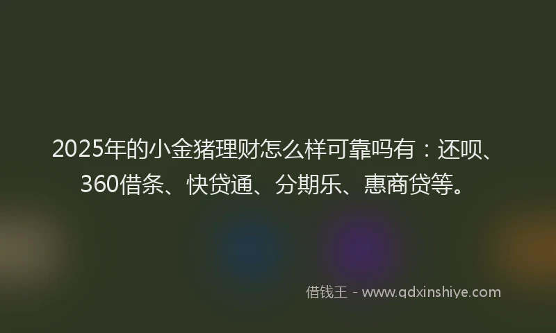 2025年的小金猪理财怎么样可靠吗有：还呗、360借条、快贷通、分期乐、惠商贷等。
